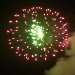 purple peony with green pistil